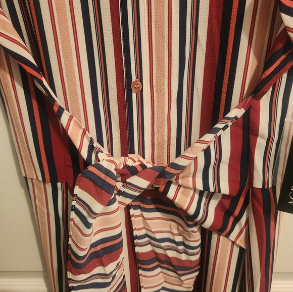 AGB Striped Crepe de Chine Shirt Dress - Picture 5 of 6